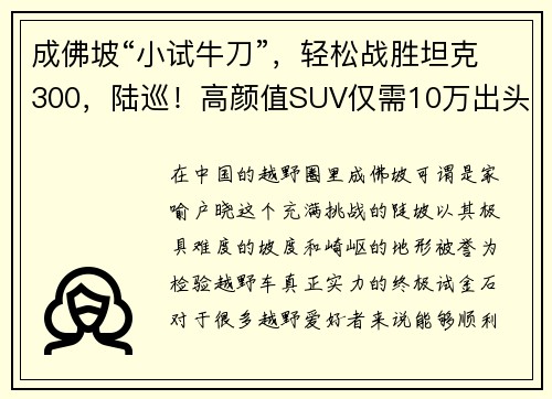 成佛坡“小试牛刀”，轻松战胜坦克300，陆巡！高颜值SUV仅需10万出头