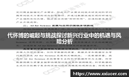 代怀博的崛起与挑战探讨新兴行业中的机遇与风险分析